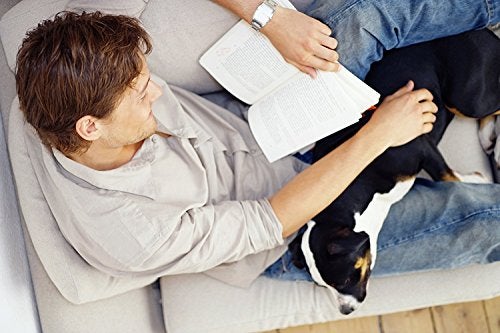 Guardsman Fabric Defense & Upholstery Water Repellent Spray, Protector & Stain Prevention for Microfiber, Rugs, Carpeting, Fabric Furniture, Apparel, and Shoes, Unscented, 11 oz - Image 5