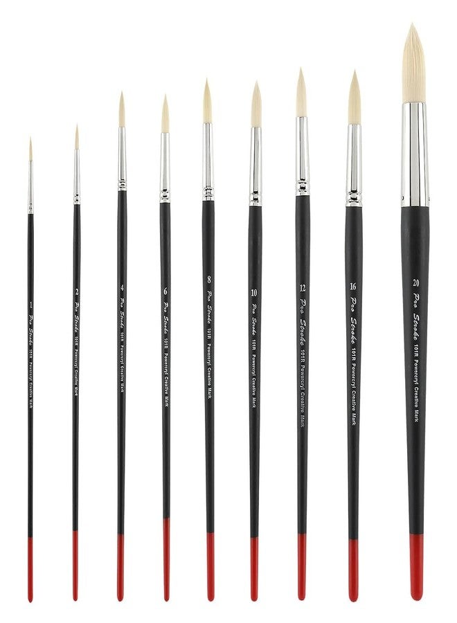 Creative Mark Powercryl Ultimate Acrylic Paint Brushes - Round #20, Artist Paint Brushes, 3 Diameters of Synthetic Hair Filament, Fine Control of Heavy Acrylics, Water Soluble Oils, and More - Image 3