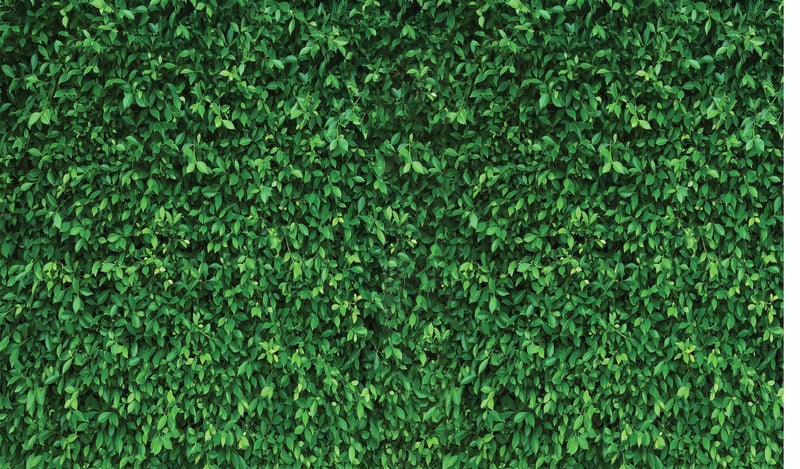 Backdropon Green Leave Photography Backdrops Nature Backdrop Curtain Cloth Birthday Background Seamless Photo Booth Prop Backdrop Size 5 Feet Height & 8 Feet Width(5 * 8) - Image 2