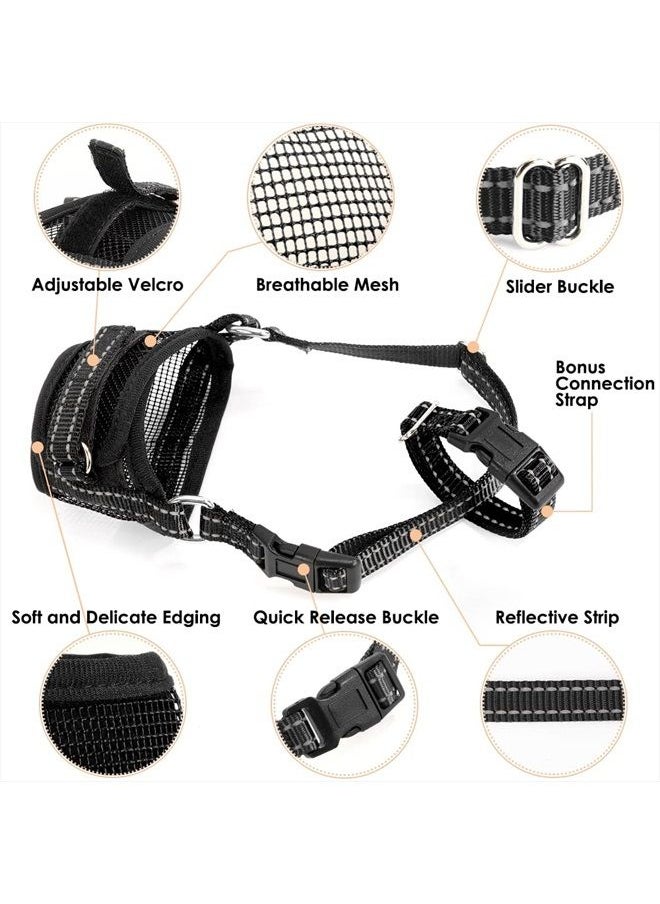 KOLODOGO - Dog Muzzle - Soft Mesh Dog Mouth Guard for Small Medium Large Sized Dogs Chihuahua Husky Labrador Retriever, Quick-Dry Adjustable Loop Anti Biting Barking, Allow Panting Drinking (Black M) - Image 1