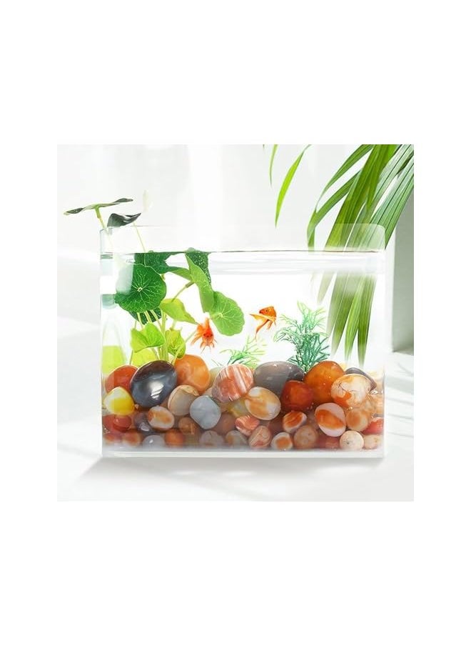 The Bros Decorative Polished Rocks, 0.5 lb Colorful Pebbles, 0.8-1.5 cm Natural Mixed Color River Rocks for Plants, Fish Tank Rocks, Garden Rocks, Vase Fillers, Outdoor Decorative Stones and Landscaping Rocks  - Image 3