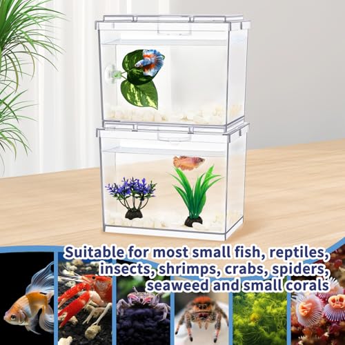 MoonOrange Mini Betta Fish Tank, Small Fish Bowl for Temporary Space, 0.2 Gallon Stackable Cube Tank with Artificial Plants and Gravels for Small Fish, Insect, Shrimp, Crab, Spider.(Pack-2) - Image 4
