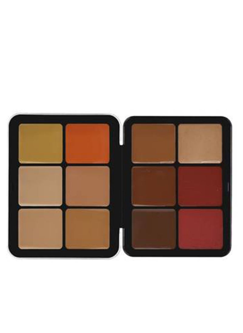 Skin And Face ALL-IN-ONE Palette-HD002 - pzsku/Z3307DAFB19C70FE63733Z/45/_/1716207826/8342bbd9-21a6-4905-a43d-24ff5af960d4