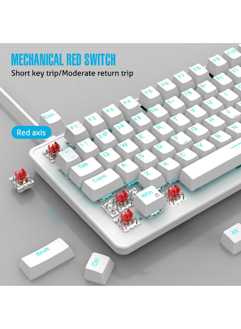 ROCK POW 70% PC Gaming Keyboard, 82 Keys Mini Mechanical Keyboard with Ice Blue Backlit 19 Modes, Volume Lighting Knob Wired Mechanical Keys, PBT Keycaps for PC Gaming and Working (Red Switch) - Image 2