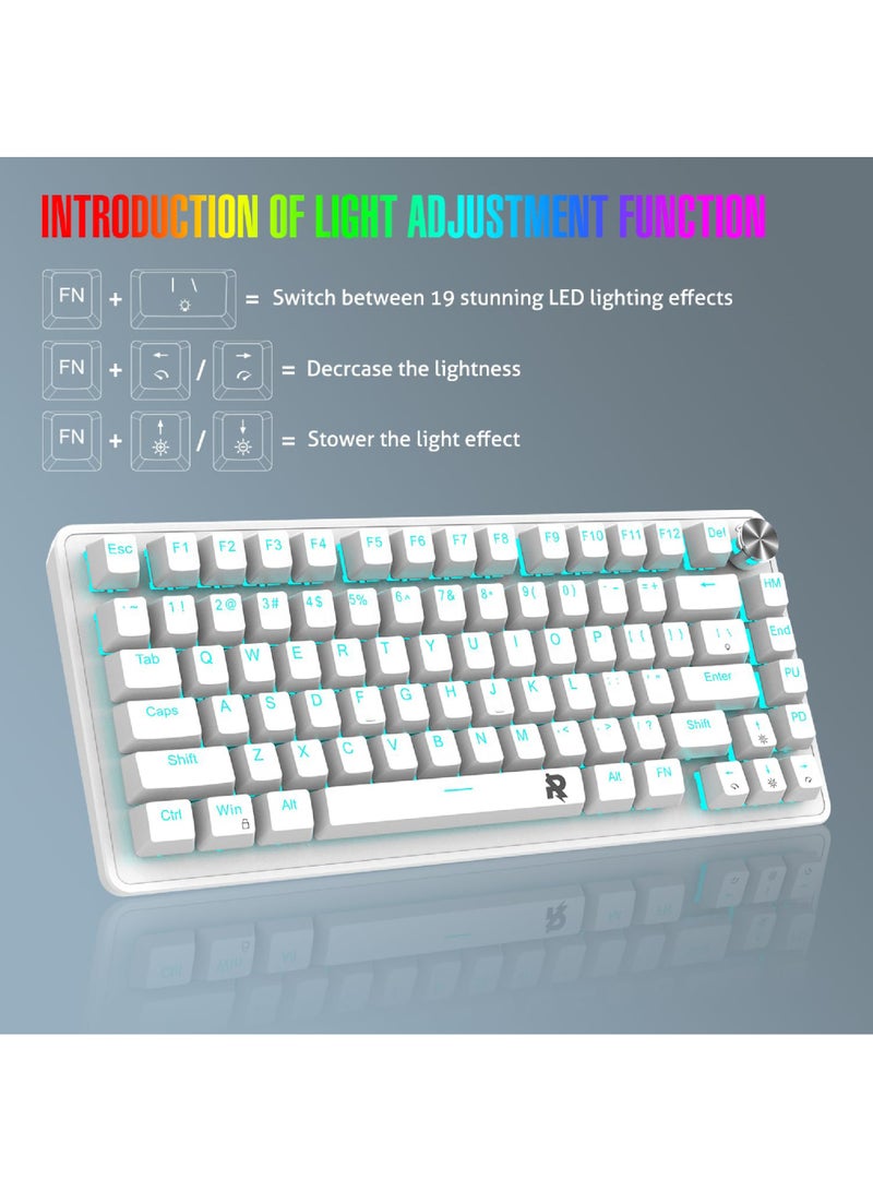 ROCK POW 70% PC Gaming Keyboard, 82 Keys Mini Mechanical Keyboard with Ice Blue Backlit 19 Modes, Volume Lighting Knob Wired Mechanical Keys, PBT Keycaps for PC Gaming and Working (Red Switch) - Image 4