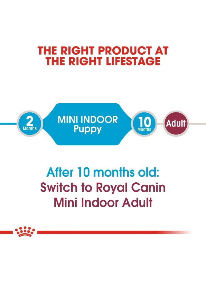 رويال كانين حجم التغذية الصحية للجرو الصغير الداخلي 1.5 كجم - Image 4