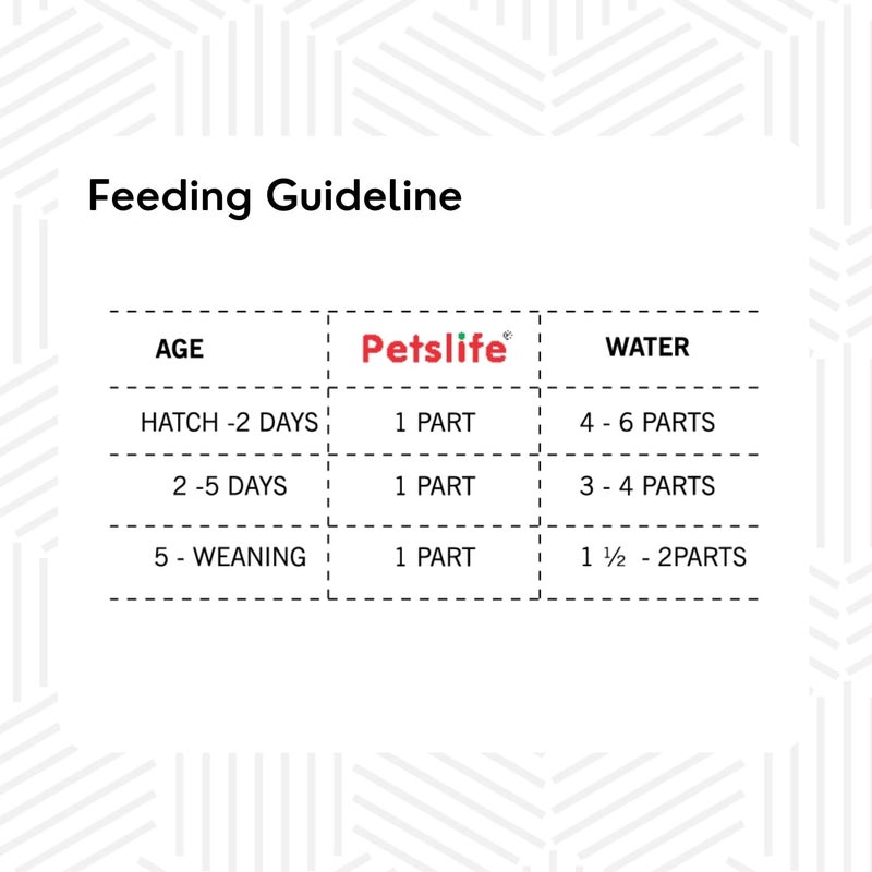 Petslife صيغة التغذية اليدوية لطيور الأطفال من PETSLIFE، 250 جرام - Image 3