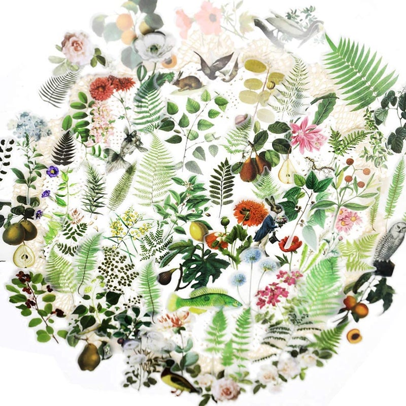 Doraking 65PCS Plants Scrapbook Stickers DIY Decoration Transparent Sulfuric Paper Green Plants for Scrapbook NoRepeat