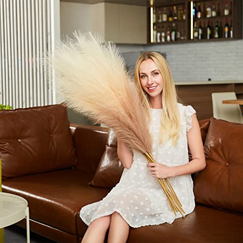 EVODIS Faux Pampas Grass Decor, 6 Stems Artificial Pampas Grass - 43 inch Tall Pompass Grass Large Pompous Boho Flower Arrangement Home Decor for Room Wedding Party - Image 3