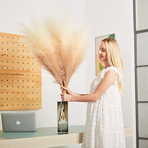 EVODIS Faux Pampas Grass Decor, 6 Stems Artificial Pampas Grass - 43 inch Tall Pompass Grass Large Pompous Boho Flower Arrangement Home Decor for Room Wedding Party - Image 4