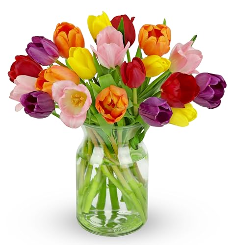 Benchmark Bouquets - 20 Stem Rainbow Tulips (Glass Vase Included) - Fresh Flowers for Delivery - Gift for Birthday, Anniversary, Sympathy, Get Well, Congratulations - Image 1