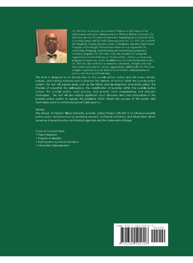 Juvenile Justice System and Practice  - Image 2