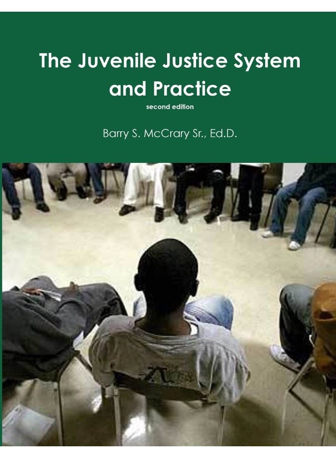 Juvenile Justice System and Practice  - Image 1