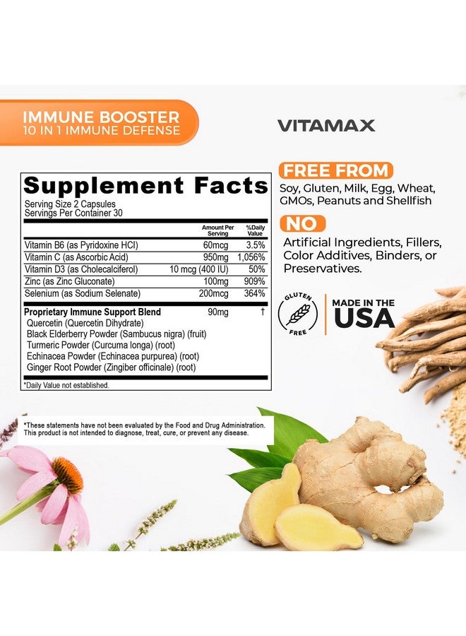 Vitamax 10 في 1 معزز دعم جهاز المناعة مع البلسان، D3، السيلينيوم، الكيرسيتين، الزنك، فيتامين C، الزنجبيل، الكركم الكركمين، B6، الإخناسيا - دفاع طبيعي عن المناعة - صنع في الولايات المتحدة (60 حبة (عبوة من 1)) - Image 3