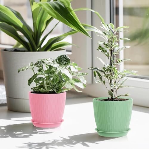 Eightiz (Pack of 5 6 Inch Plastic Flower Pots for Indoor & Outdoor Terrace,Garden Plants Decorative Planters with Drainage Holes & Matching Saucers Durable & Lightweight (Multicolour) - Image 2