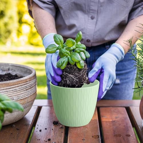 Eightiz (Pack of 5 6 Inch Plastic Flower Pots for Indoor & Outdoor Terrace,Garden Plants Decorative Planters with Drainage Holes & Matching Saucers Durable & Lightweight (Multicolour) - Image 5
