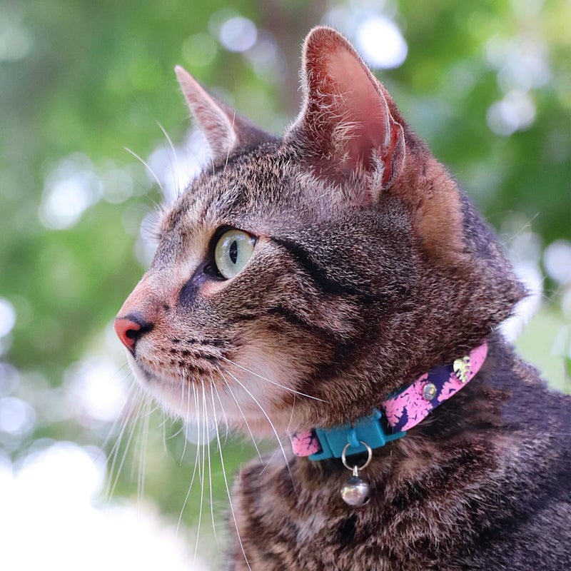 REF. Kittyrama Botanical Fern Cat Collar 19.5cm - 26.5cmKittyrama Botanical Fern Cat Collar 19.5-26.5CM - Image 4