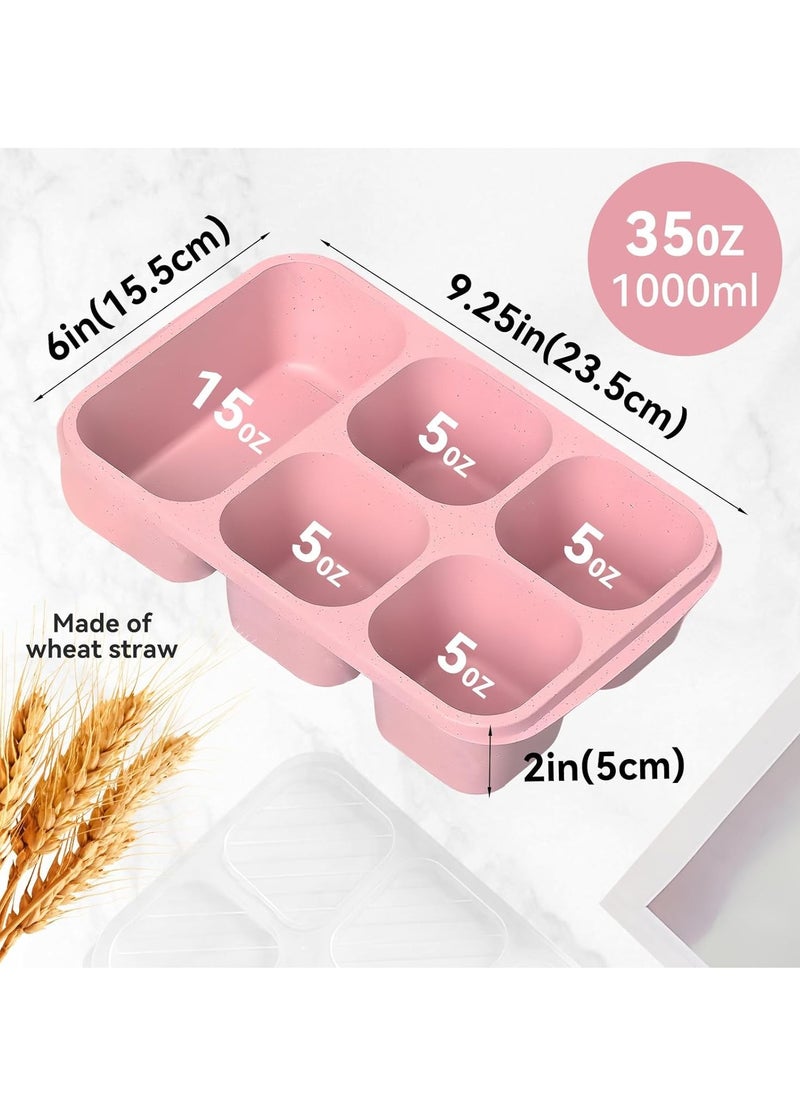 SYOSI - 4 Pcs Bento Box, 5 Compartment Bento Box with Transparent Lid for Food Storage and Snack Contain, Reusable Bento Lunch Box for School, Work, Travel, and On-the-Go Meals - Image 1