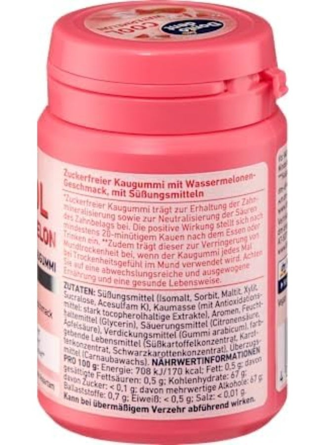 DM Dontodent Cool Watermelon Gum, Sugar-Free, 50 Pieces - Image 3