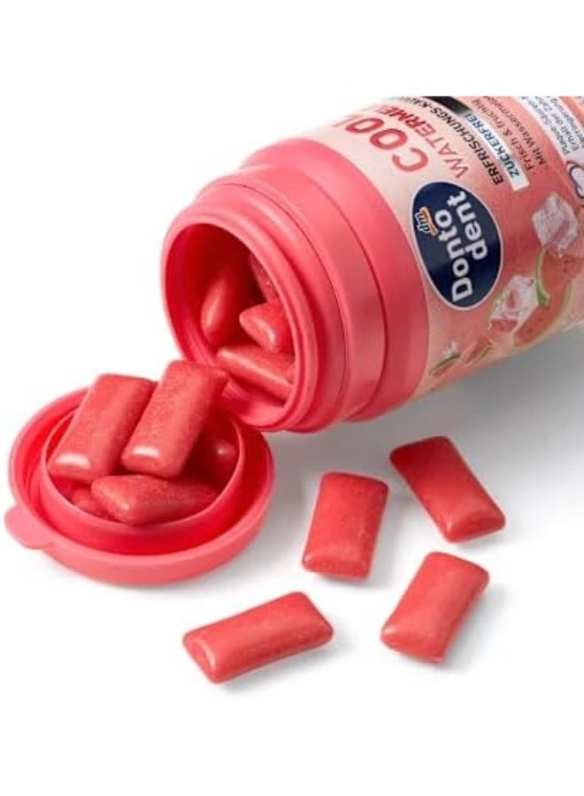 DM Dontodent Cool Watermelon Gum, Sugar-Free, 50 Pieces - Image 2