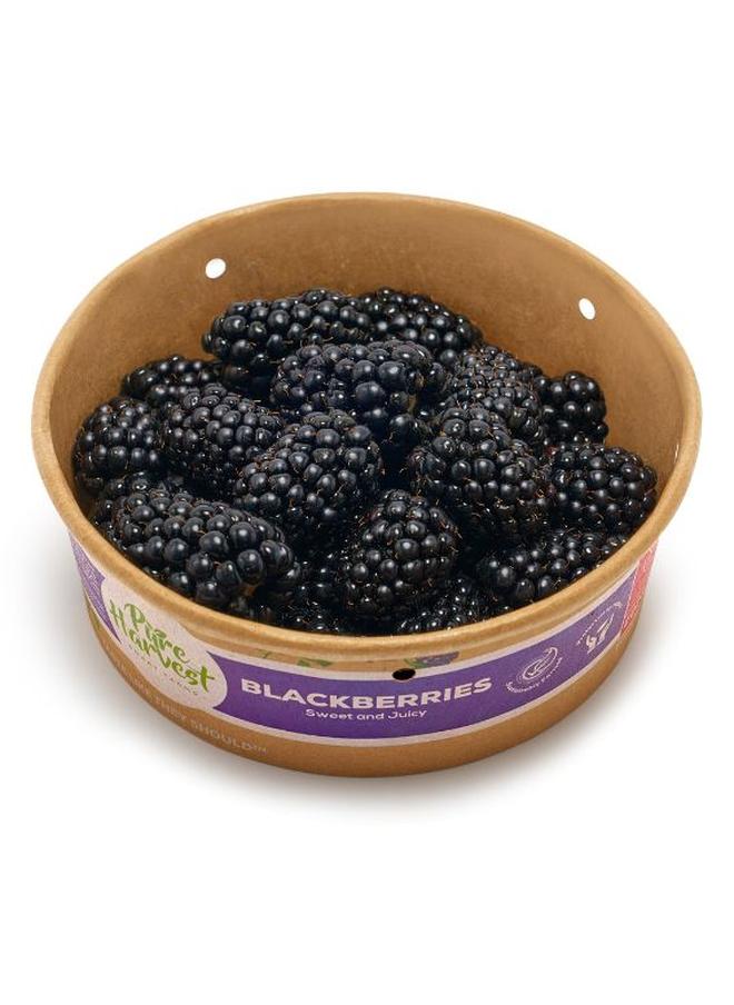 Blackberry 1 Punnet (170g)