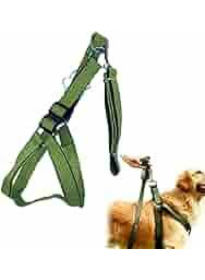 olive green leash and harness for dogs - Image 1