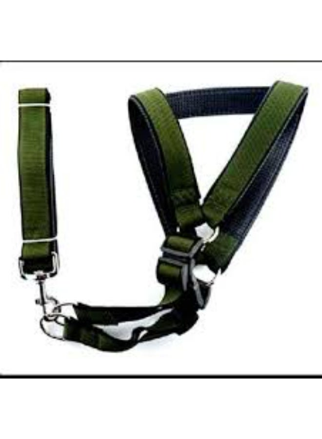 olive green leash and harness for dogs - Image 2