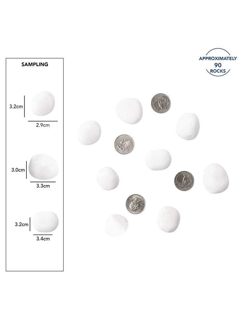 Home zone 10LB (4.5KG) Decorative Stones River Pebbles Painting Rocks for Fish Aquariums Plant Gravel, Landscaping Home Décor Natural - Large White  - Image 4