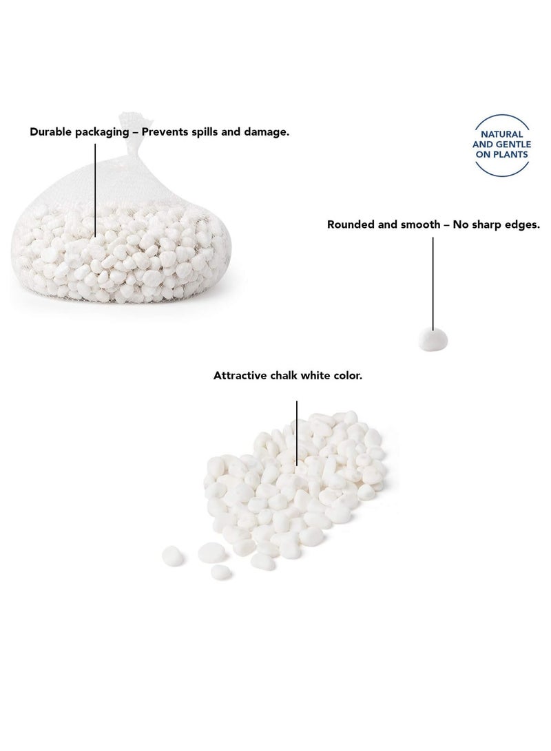 Home zone 10LB (4.5KG) Decorative Stones River Pebbles Painting Rocks for Fish Aquariums Plant Gravel, Landscaping Home Décor Natural - Large White  - Image 2