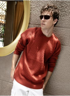 Campus Sutra Men's Ash Brown Mesh-Knit Pullover Sweater  - Image 1
