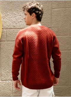 Campus Sutra Men's Ash Brown Mesh-Knit Pullover Sweater  - Image 5