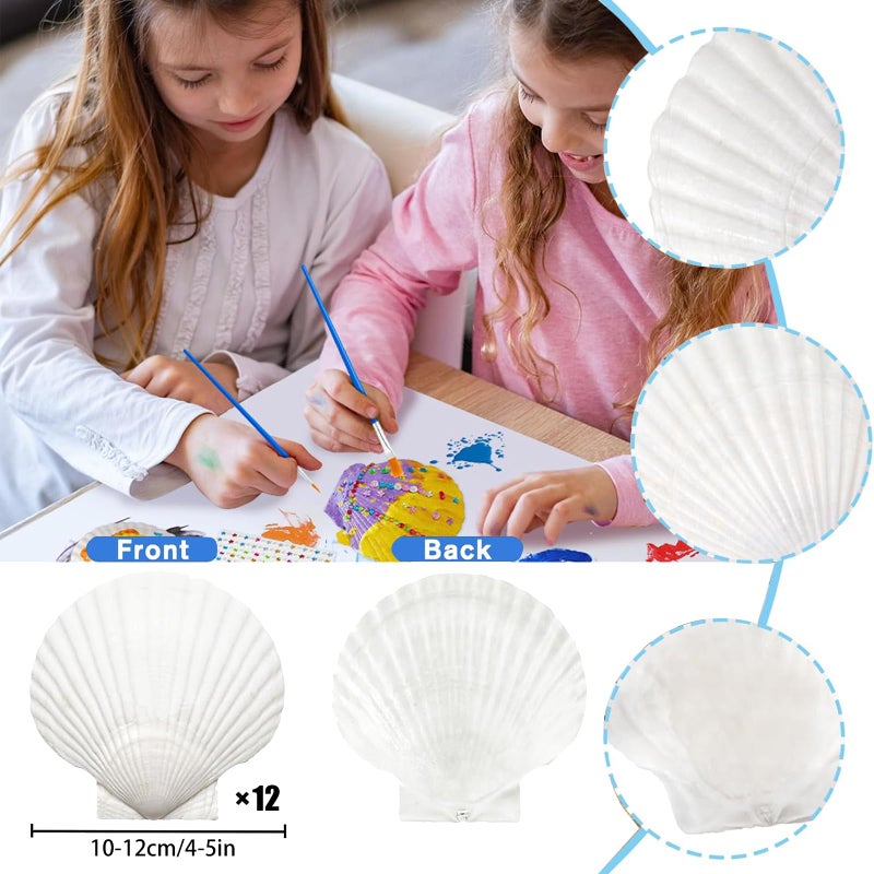 YUNMOE 12PCS Large Natural Scallop Shells 4''-5'' White Sea Shells for DIY Craft Making, Hand Painting, Ocean Themed Party and Home DÃ©cor - Image 2