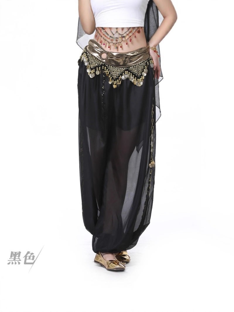 Loquat Dancer Hoop Lantern Pants Belly Dance Performance Dance Pants Belly Dance Pants - Image 4