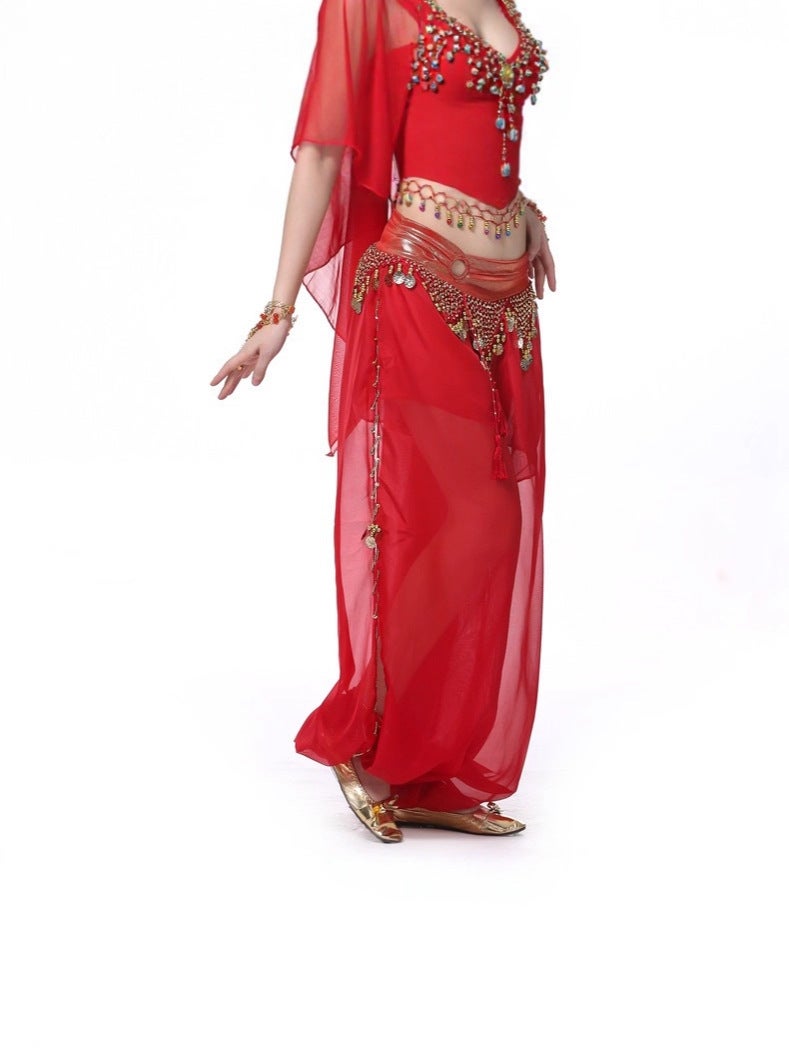 Loquat Dancer Hoop Lantern Pants Belly Dance Performance Dance Pants Belly Dance Pants - Image 5