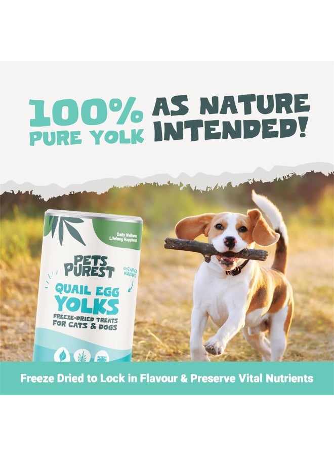 Pets Purest Freeze Dried Quail Eggs for Cats & Dogs. Natural Freeze Dried Cat Treats & Dog Treats. 100% Quail Eggs Yolk, Nothing Added - 100g - Image 3