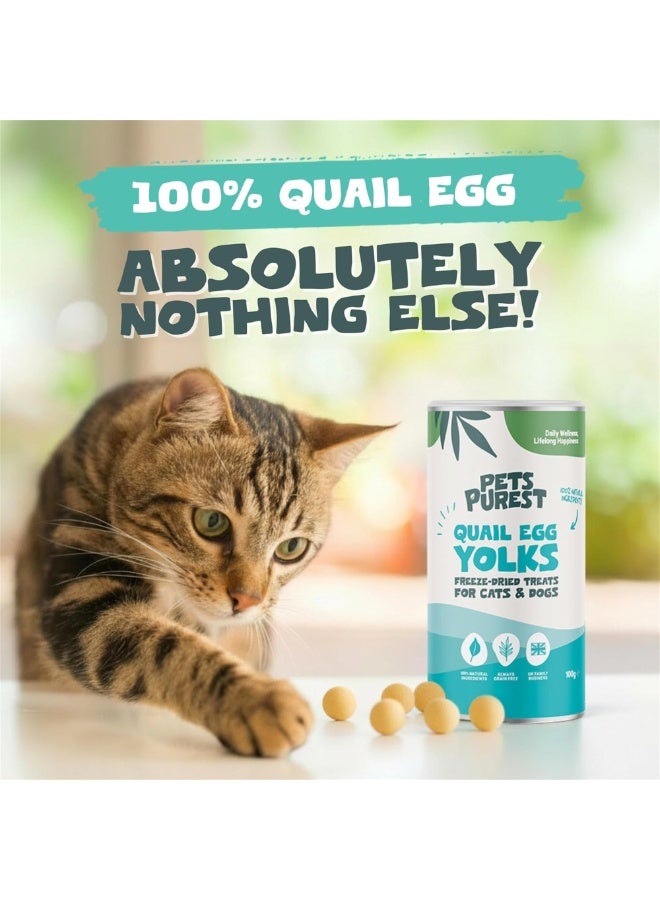 Pets Purest Freeze Dried Quail Eggs for Cats & Dogs. Natural Freeze Dried Cat Treats & Dog Treats. 100% Quail Eggs Yolk, Nothing Added - 100g - Image 2