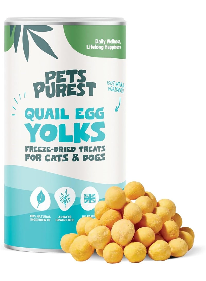 Pets Purest Freeze Dried Quail Eggs for Cats & Dogs. Natural Freeze Dried Cat Treats & Dog Treats. 100% Quail Eggs Yolk, Nothing Added - 100g - Image 1