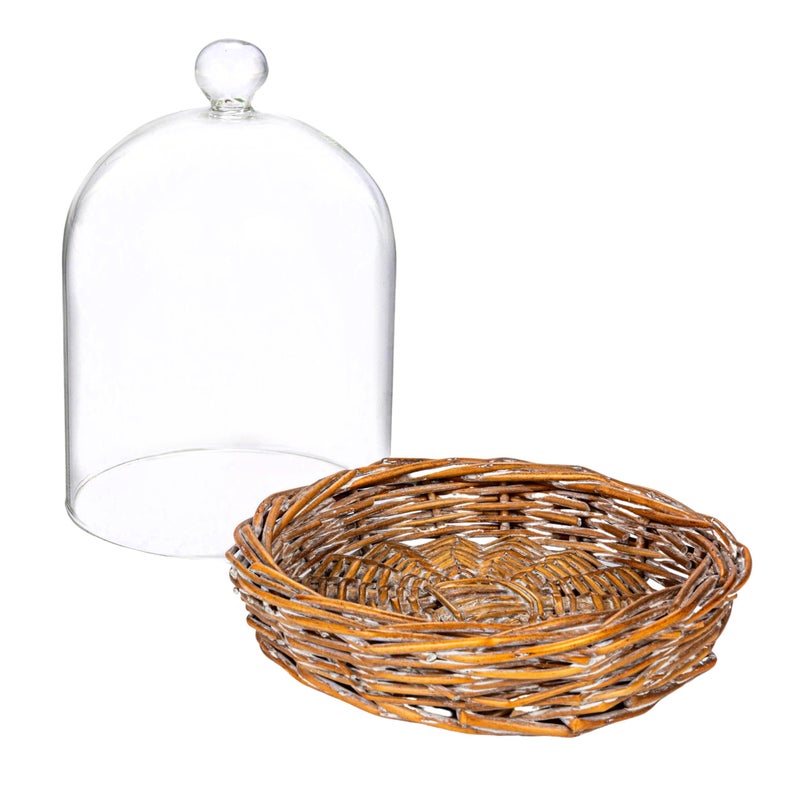 Creative Co-Op Round Glass Cloche with Woven Willow Base, Clear - Image 4