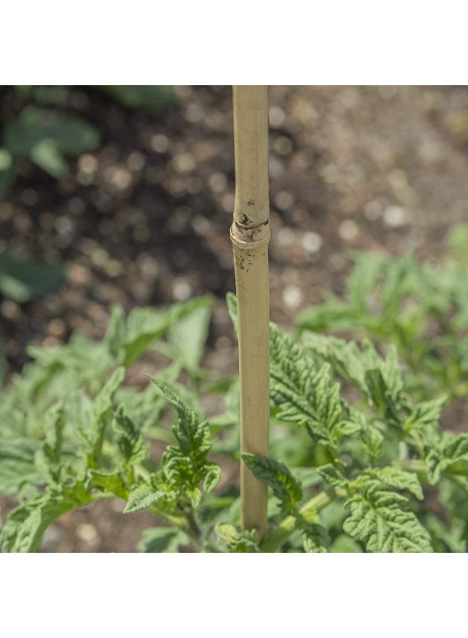 Egardenkart Bamboo Pole/Plant Support Stake Stick Garden Stake  - Image 3