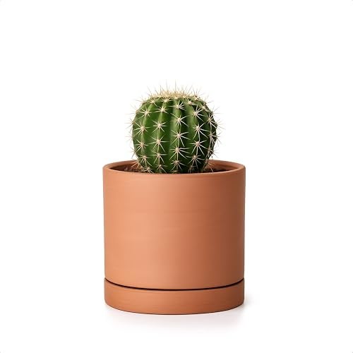 D'vine Dev X-Small 4 Inch Terracotta Plant Pot with Drainage Hole and Saucer, Round Cylinder Planter Pot for Indoor Plants, 40-X-A-1 - Image 1
