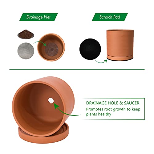 D'vine Dev X-Small 4 Inch Terracotta Plant Pot with Drainage Hole and Saucer, Round Cylinder Planter Pot for Indoor Plants, 40-X-A-1 - Image 4