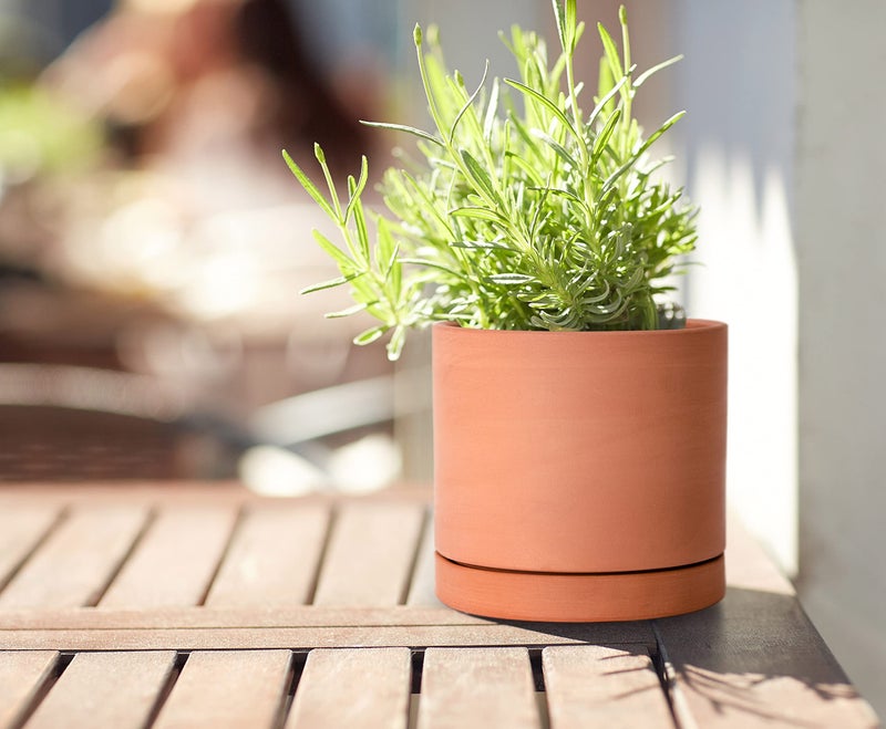 D'vine Dev X-Small 4 Inch Terracotta Plant Pot with Drainage Hole and Saucer, Round Cylinder Planter Pot for Indoor Plants, 40-X-A-1 - Image 5
