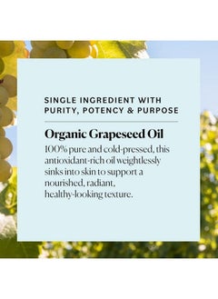 Organic Grapeseed Oil For Face 100% Pure & Coldpressed Usda Certified Organic To Moisturize Clarify & Brighten 1 Fl Oz - pzsku/Z3321FA464DBDDE383799Z/45/_/1683530979/bbf0dbd7-da2f-4af3-b00e-fd09b5e3c260