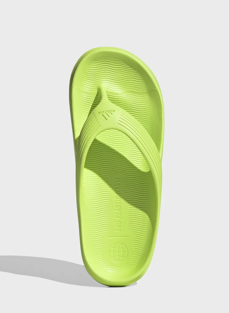 adidas أديكان فليب فلوب