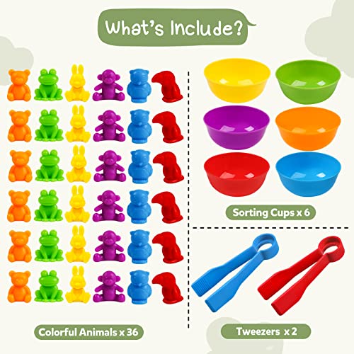 TSYAN Counting Animals Matching Games Sensory Toys with Sorting Bowls Preschool Learning Activities Color Classification Montessori Educational Toys Set Gift for Boys Girls Toddlers Toys Age 3 - Image 5