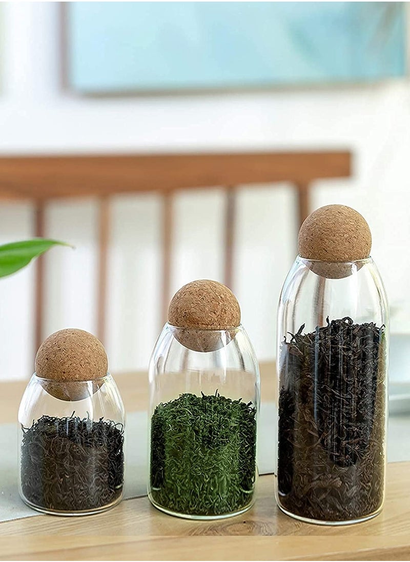 Glass Jar with Ball Cork Lid, Glass Canister with Wood Lid, Storage Container Jars for Coffee, Tea, Spice, Sugar, Salt, Set of 3 (3 PC, 800ml+1200ml+1600ml)