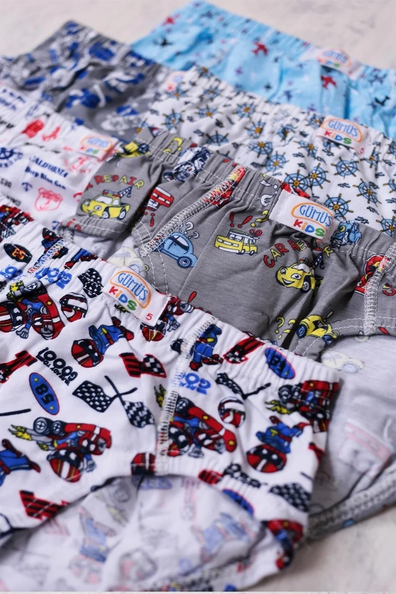Gümüş Silver 6-Pack Boy Mixed Patterned Slip Panties