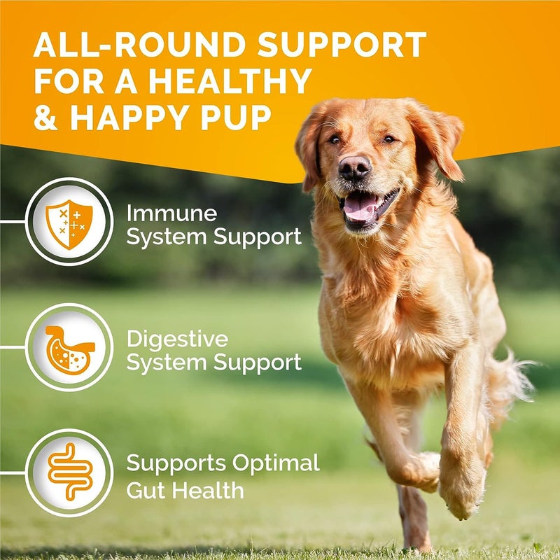 PREMIUM CARE Itch Relief for Dogs - 120 Allergy Chews for Dogs - Anti Itch Seasonal Support for Pets Itchy Skin Relief Skin Health Support with Colostrum, Vitamin C, Omega and Bee Pollen - Image 3