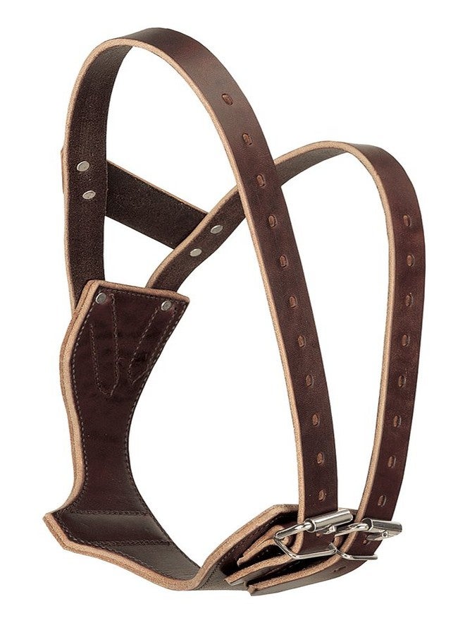 Weaver Leather Weaver Equine Miracle Leather Horse Cribbing Collar, Durable Secure Fit Horse Collar, Equestrian Gear for All Ages and Breeds, Small, Havana - Image 1