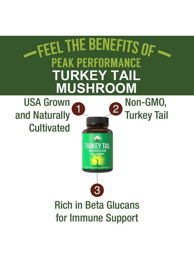 Peak Performance Turkey Tail Capsules Usa Grown Made With Real Turkey Tail Mushroom. Immune System Support Naturally Harvested Mushroom Supplements For Immunity. Vegan Turkey Tail Mushroom Supplement Extract  - Image 4